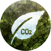 เจ้อเจียง Ruiguan ประตูและหน้าต่าง Co., Ltd.